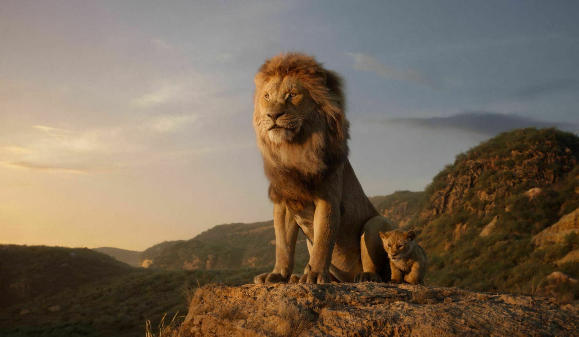 Summer Movie Preview